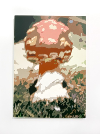 JÜRGEN STOLLHANS|Amanita muscaria (colour by numbers), 2021|Ölfarben auf Leinwand, 135 × 95 cm